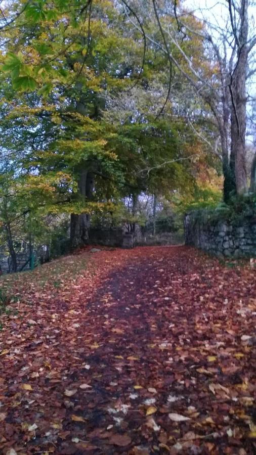 Apartament Mill Lane Buncrana Zewnętrze zdjęcie